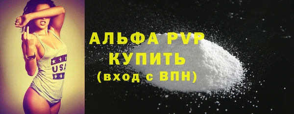 молекула духа Белоозёрский