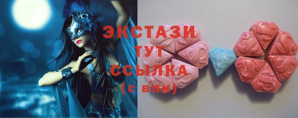 ECSTASY Богородицк