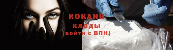гашик Богданович