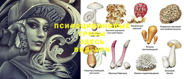 каннабис Беломорск