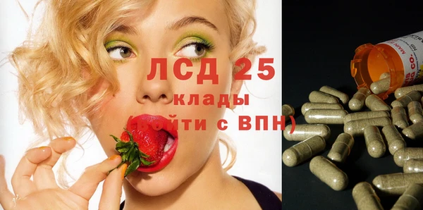 молекула духа Белоозёрский
