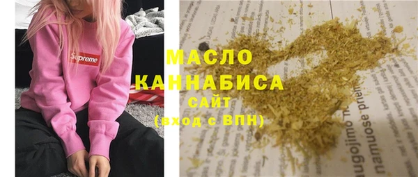 ECSTASY Богородицк